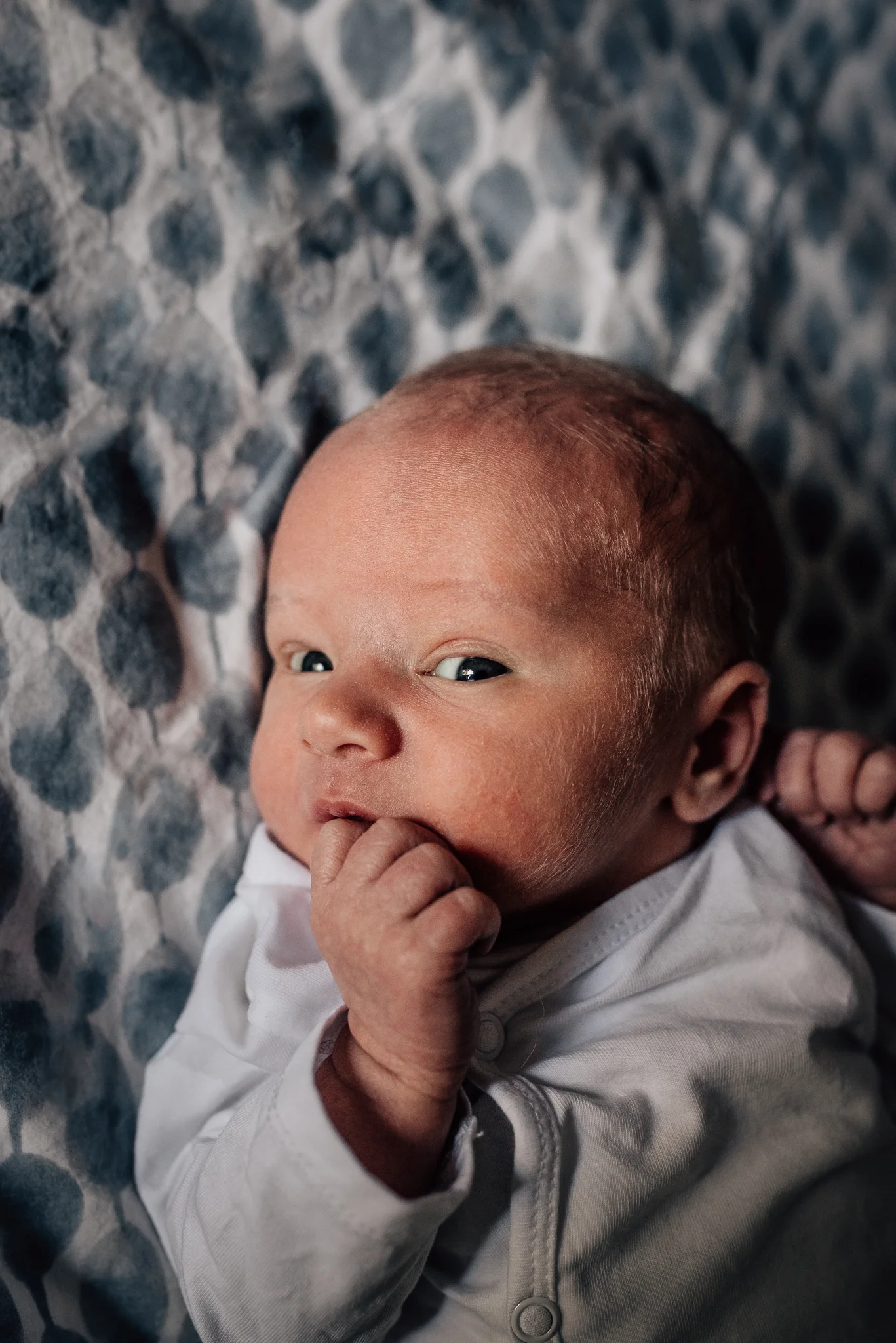  Alert-newborn-looks-straight-at-camera-while-laying-on-bed-after-home-birth 