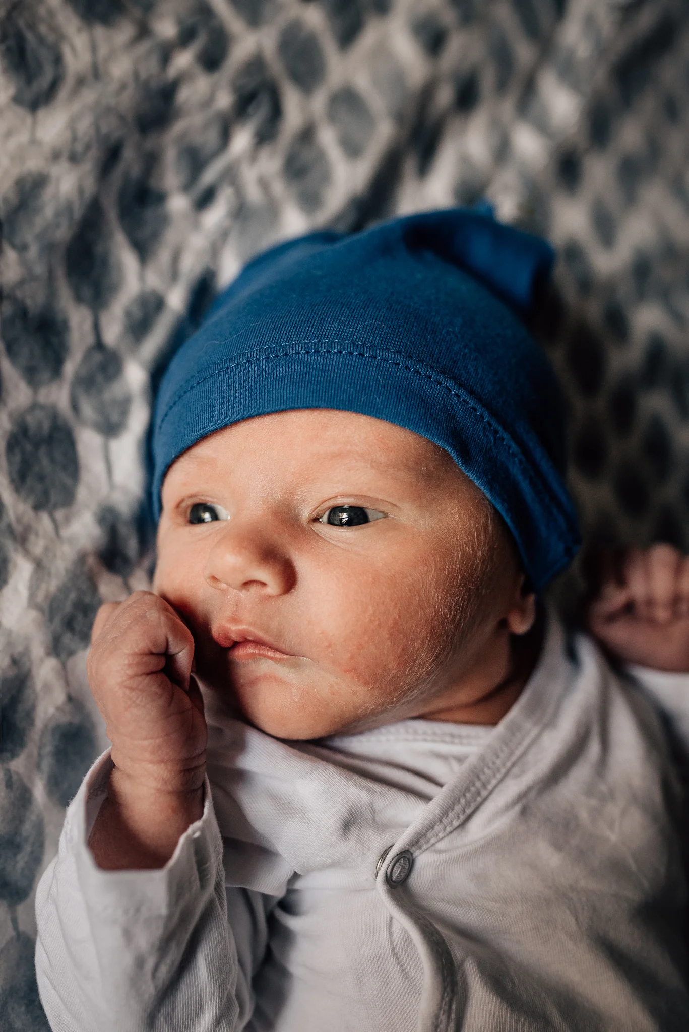 Newborn Portrait in St. Louis