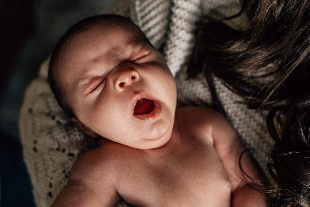 Dana-Jacobs-Photography-Finnegan-newborn-photography-session-st-louis-Web-no-watermark58-1735.JPG