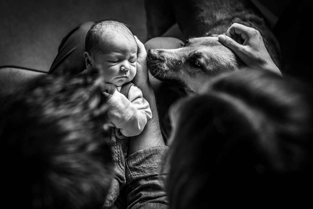 Dana-Jacobs-Photography-Kieran-Newborn-Photos-169-4367.JPG