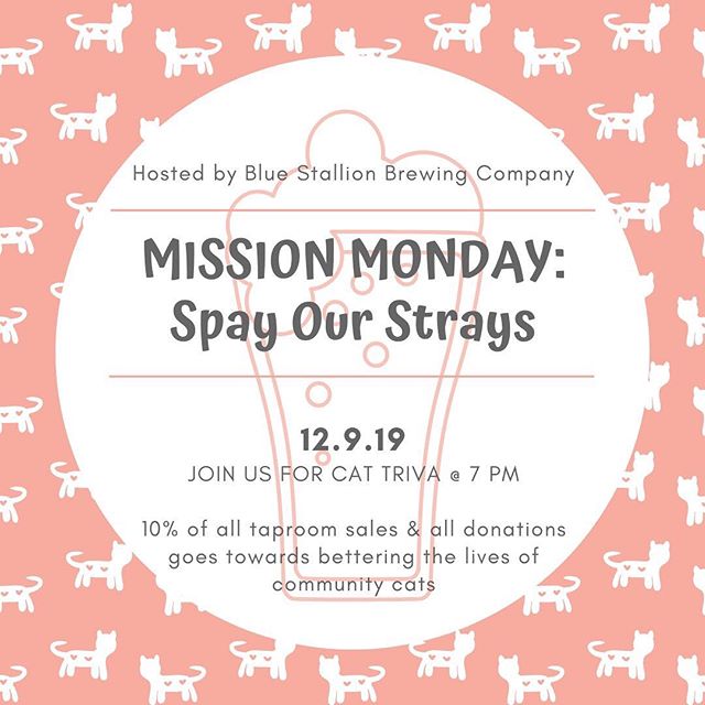 Want to test your cat trivia knowledge? 🐈 Grab a drink with Spay Our Strays for Mission Monday at Blue Stallion Brewing Company next Monday! Trivia starts at 7:00 pm. @bluestallionbc
.
.
.
#adoptlove #adoptdontshop #kentucky #lexingtonkentucky #cats