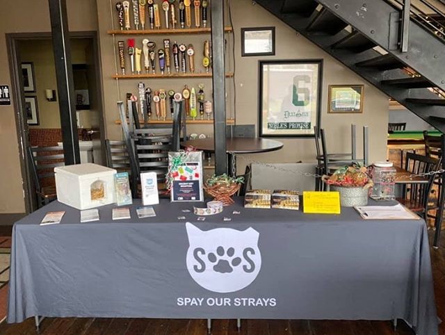 Remember we are at Blue Stallion Brewing Company today from 11:00am - 10:00pm!  Come out and see us! 🐱
.
We have a silent auction, stocking stuffers for sale for your human and animal friends, trivia from 7:00pm - 9:00pm, and of course 10% of all Bl