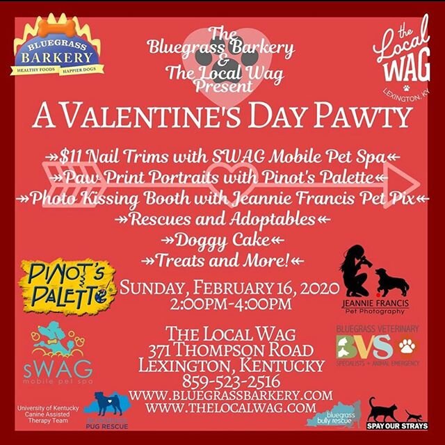 Puppy (&amp; kitten) love is in the air 💕 Come celebrate Valentines Day with us at @thelocalwag this Sunday from 2:00-4:00 p.m. We can answer all your TNR and community cat related questions while you and your furry friend check out all the fun acti