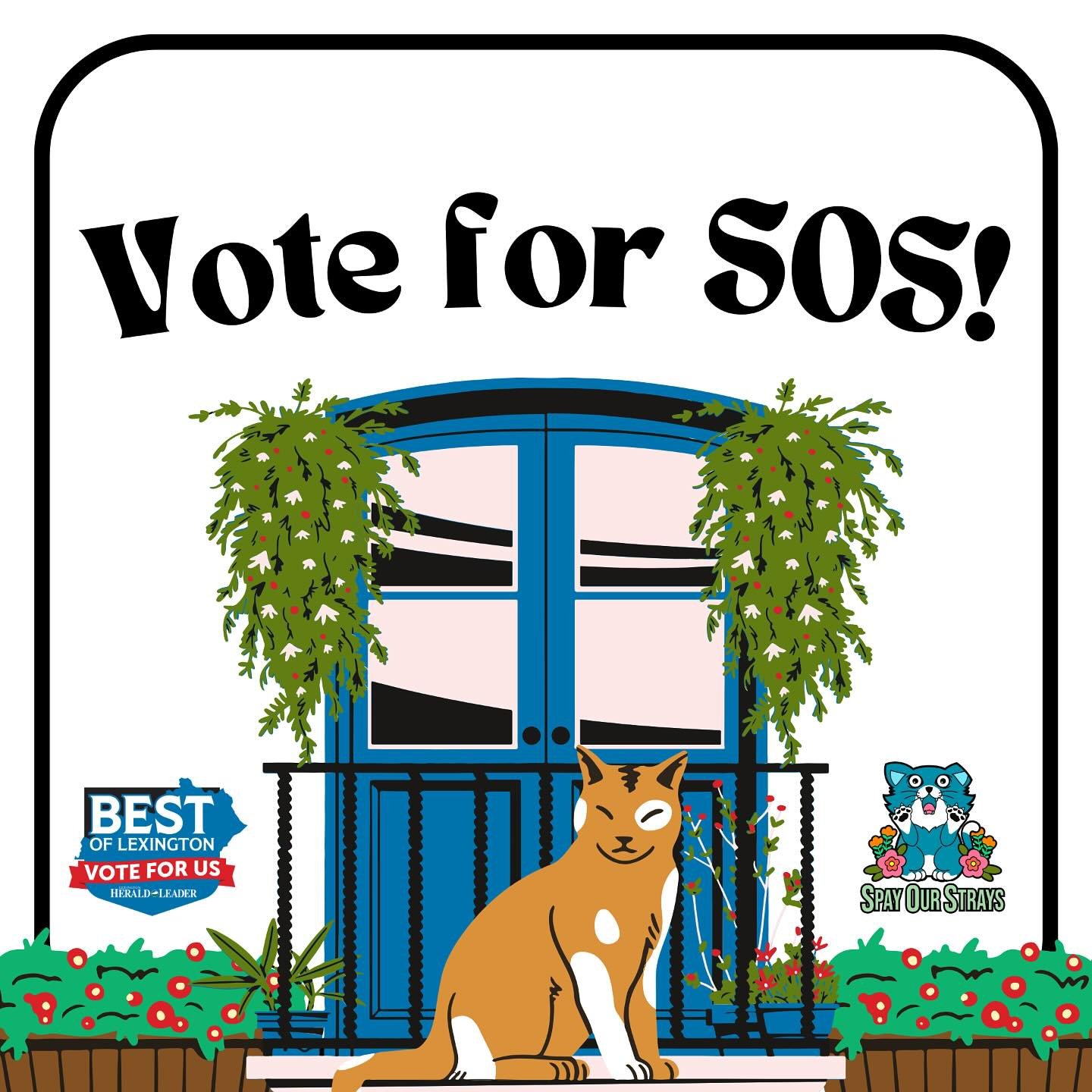 We&rsquo;re pleased to announce that we&rsquo;ve been nominated as one of the best non-profits in Lexington! 😻 We&rsquo;re incredibly grateful for the amazing community that&rsquo;s allowed us to continue our work helping community cats across the B