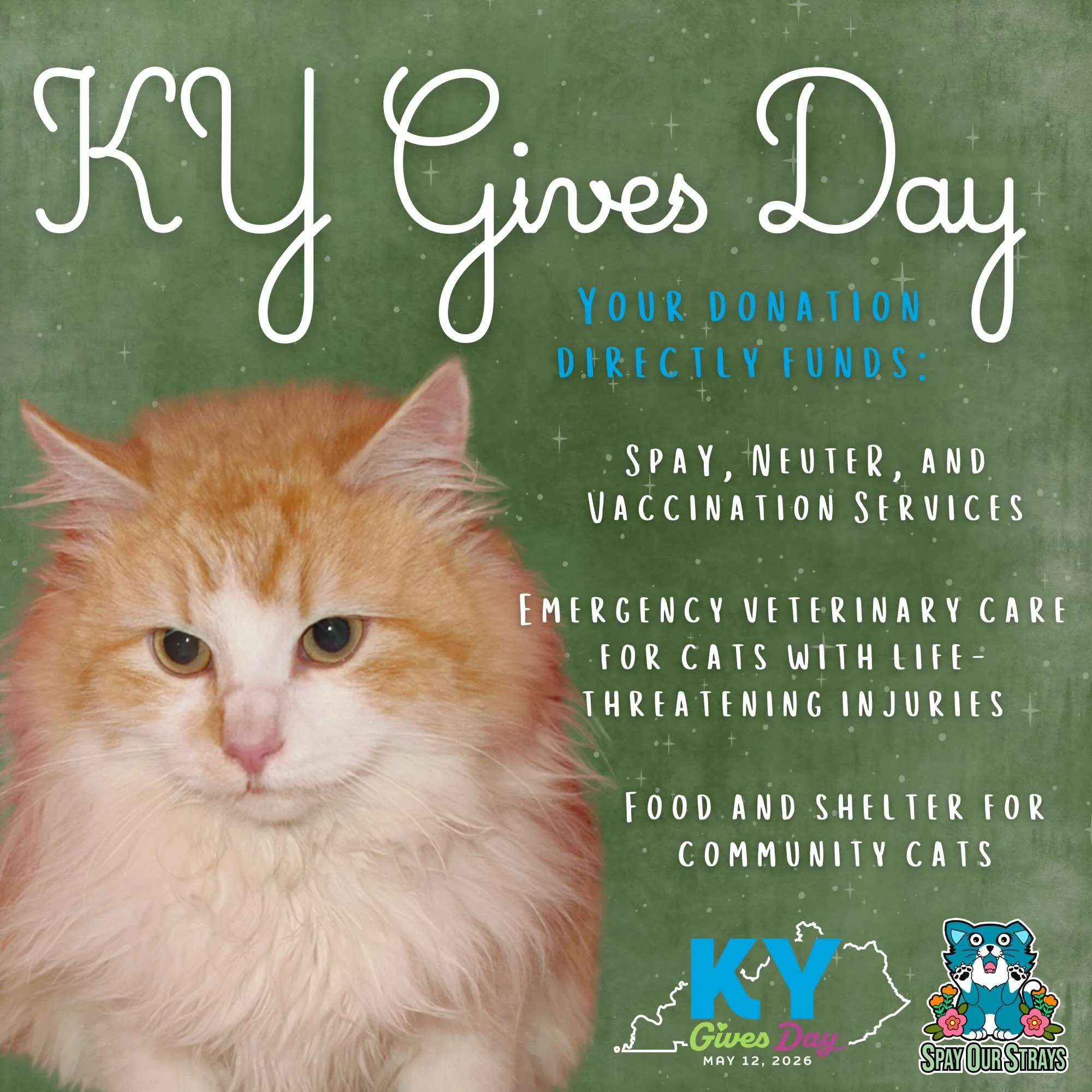 The finish line for KY Gives Day 2026 is quickly approaching!

If you&rsquo;ve been meaning to donate but haven&rsquo;t had the chance yet, you have until midnight tonight to contribute! Even a small donation helps us move closer to our goal, and eve