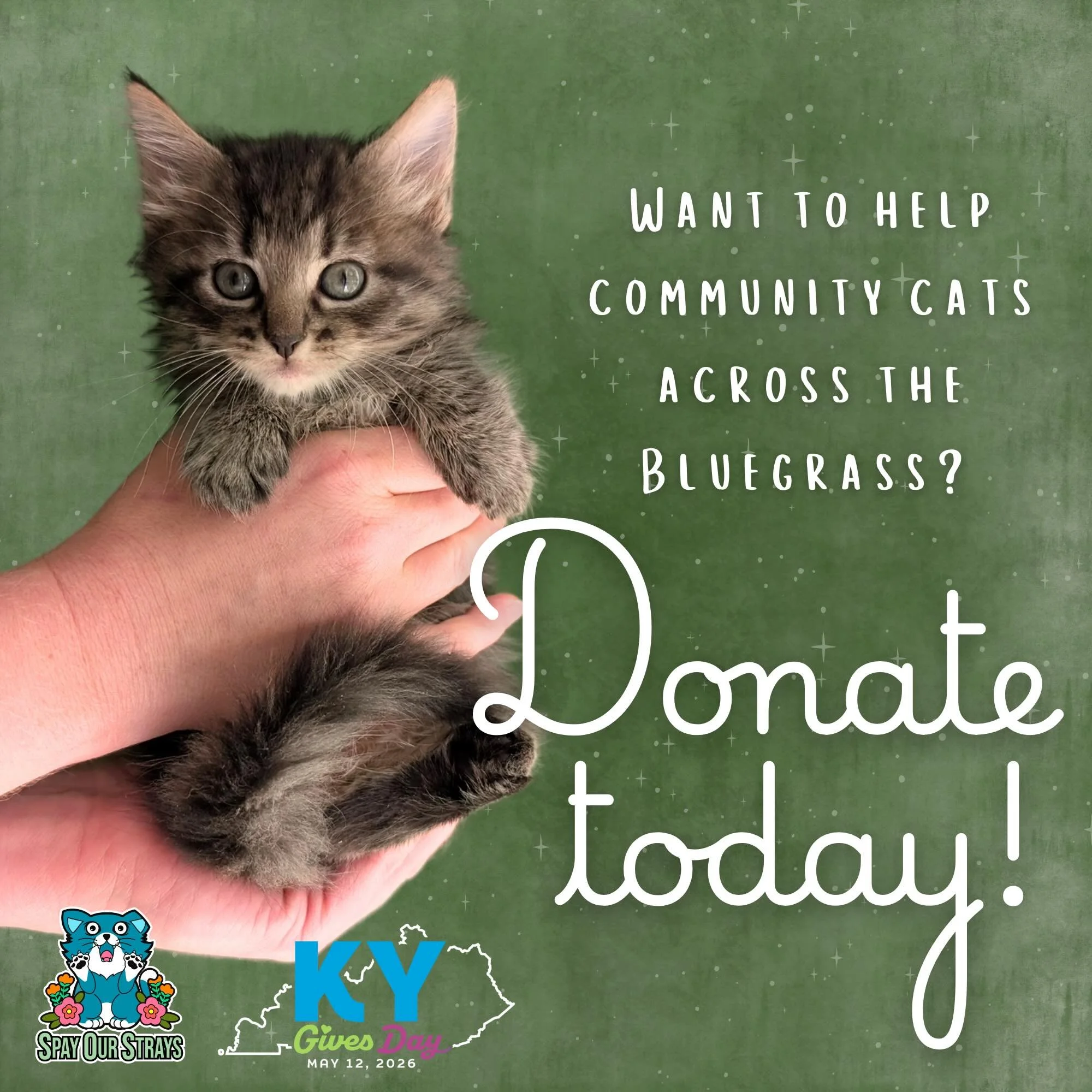 Today is the day&hellip; KY Gives Day 2026 is finally here!

Donating to Spay Our Strays directly supports our mission of managing community cat populations through TNR (Trap-Neuter-Return) and helping vulnerable cats get the care they need. Since 20