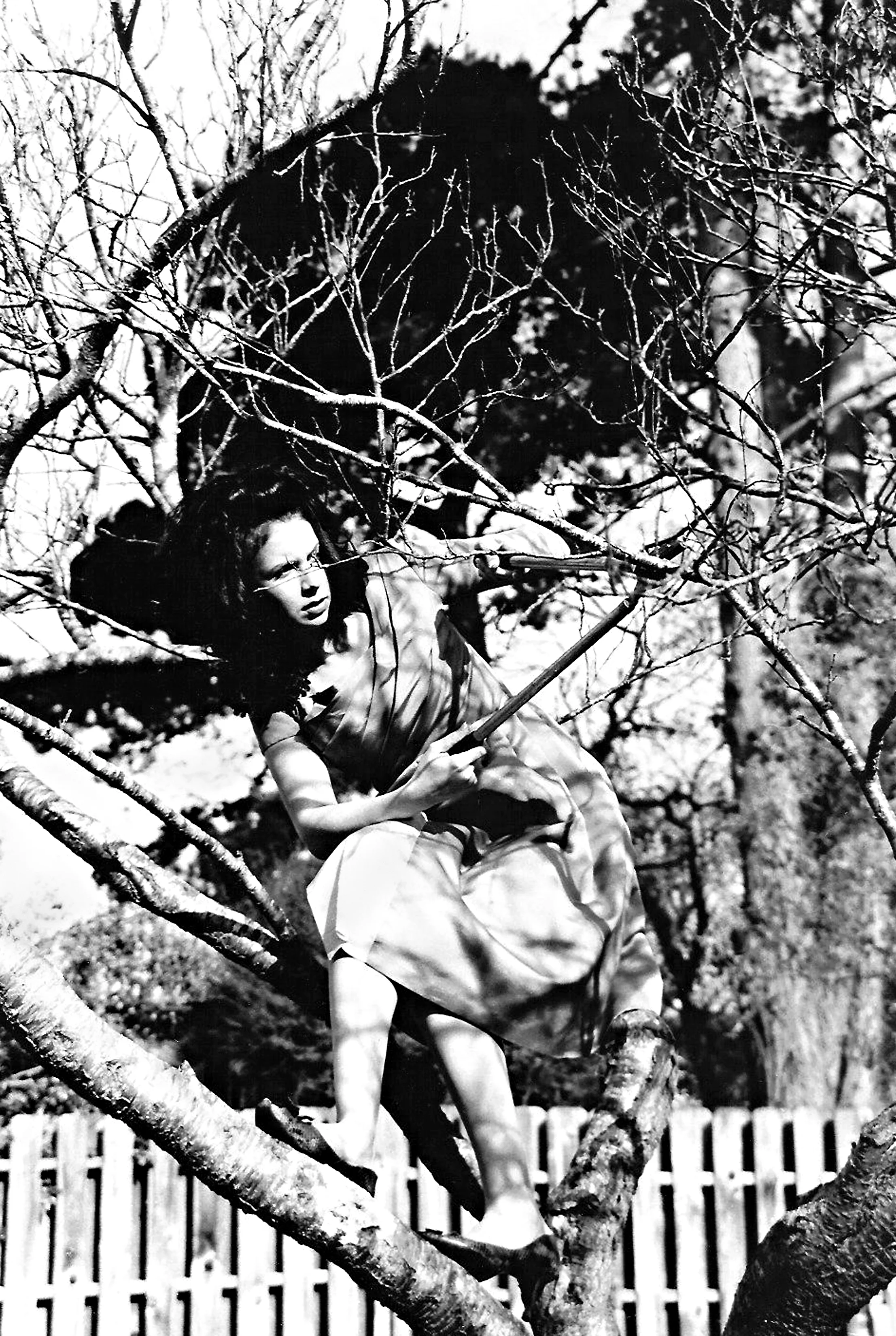 Tree Trimming 1