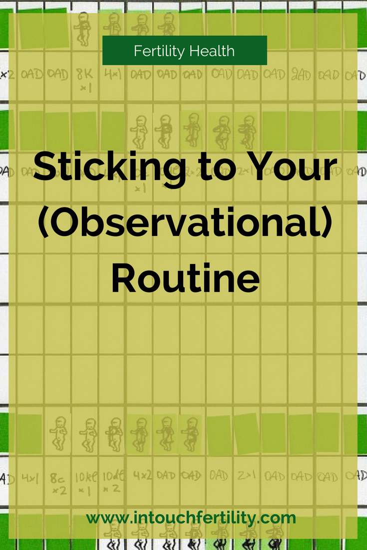 observationalroutine.png