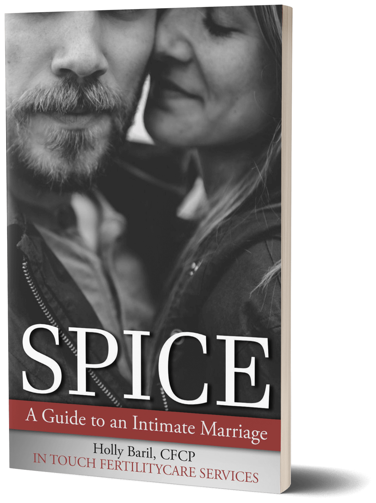 spice-ebook-mockup.png