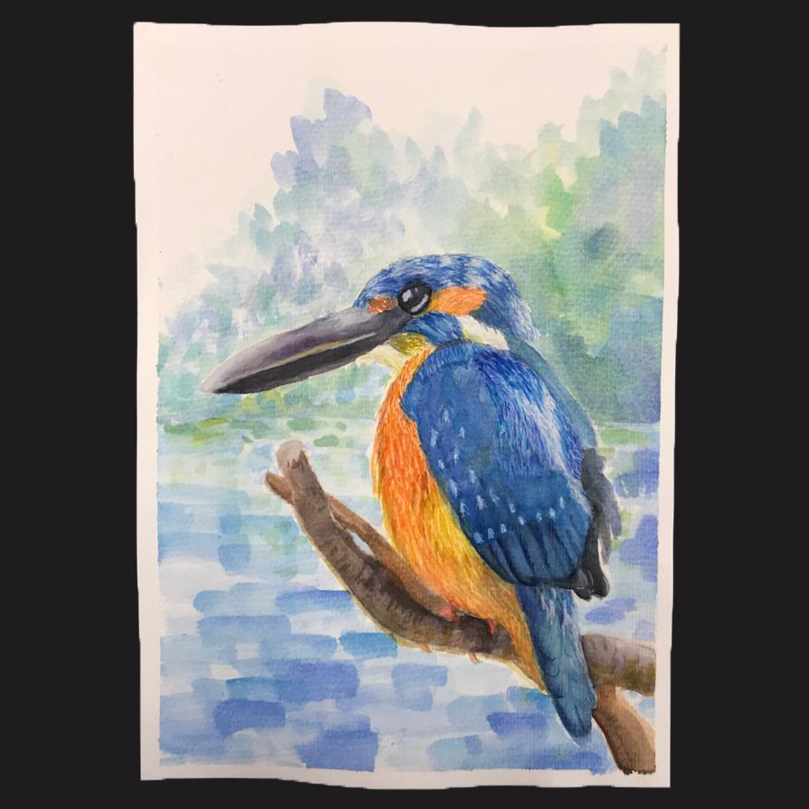 2. Kingfisher.png