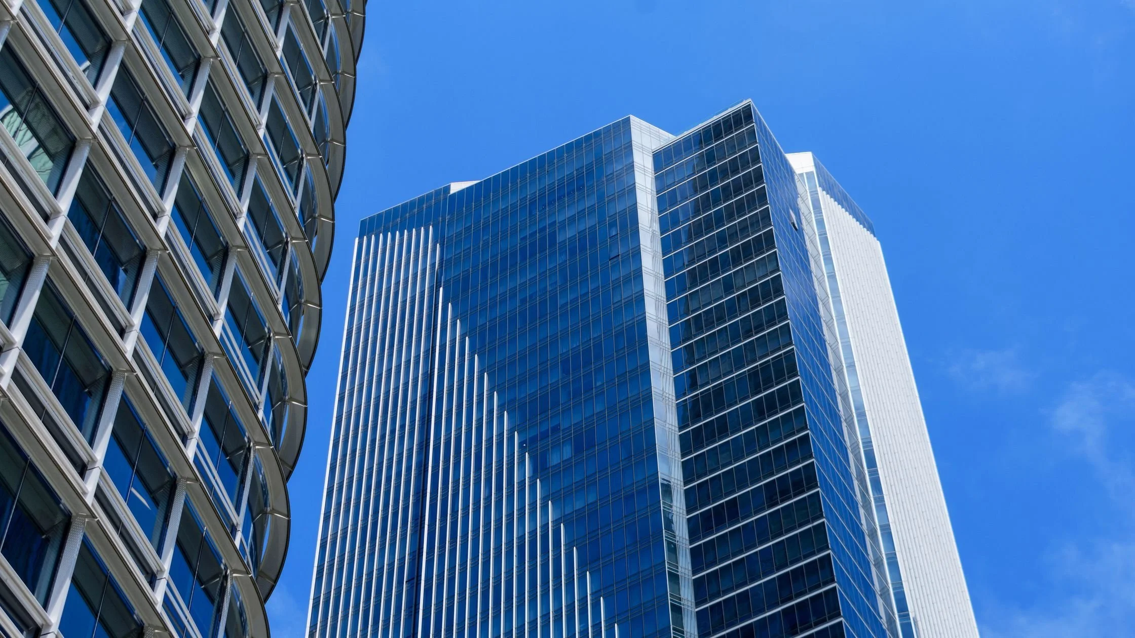 Why High Rise SF Buildings Are Partnering with Dog Daycare Shuttles