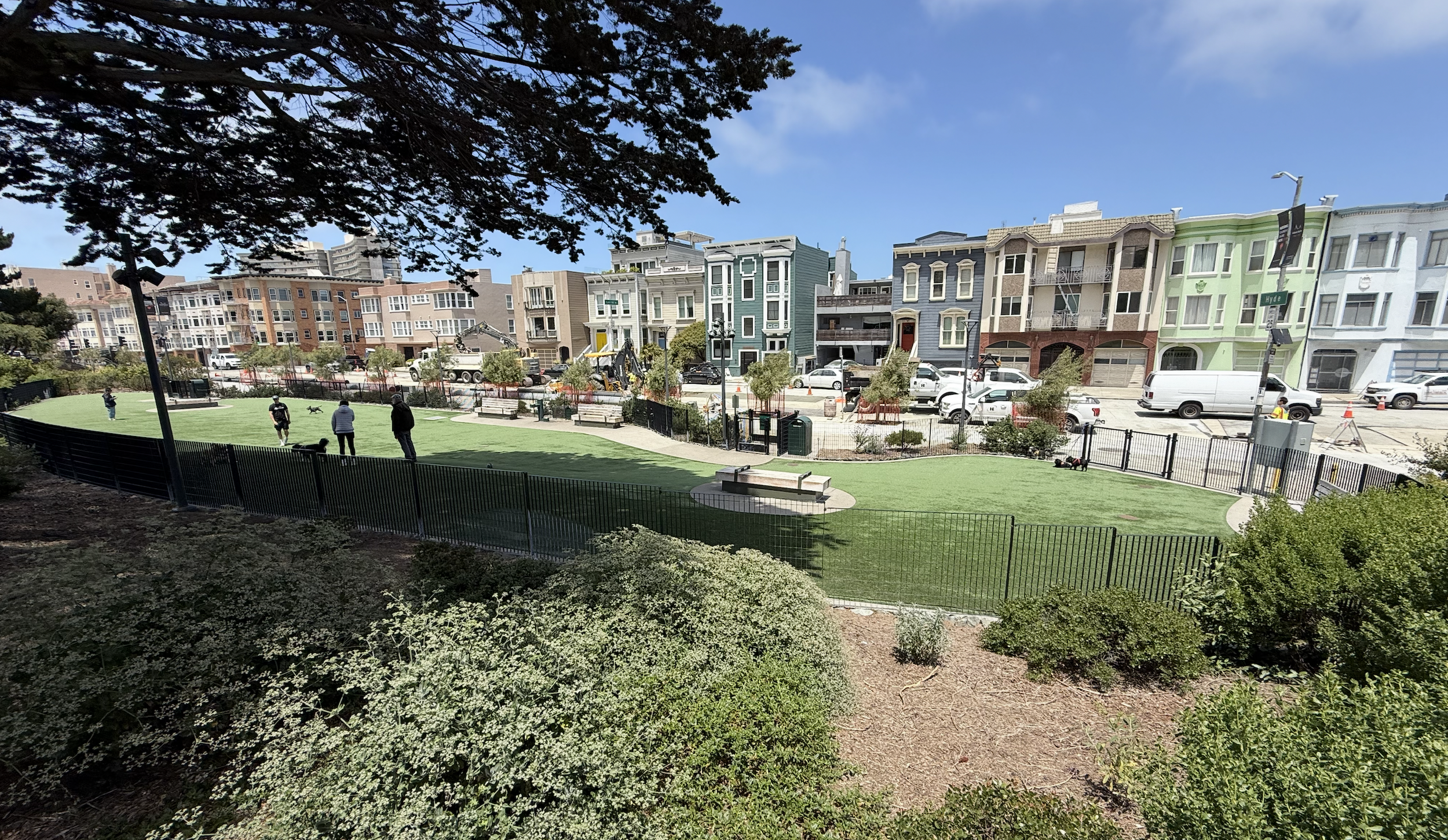 San Francisco Dog Park Guide - Francisco Dog Park