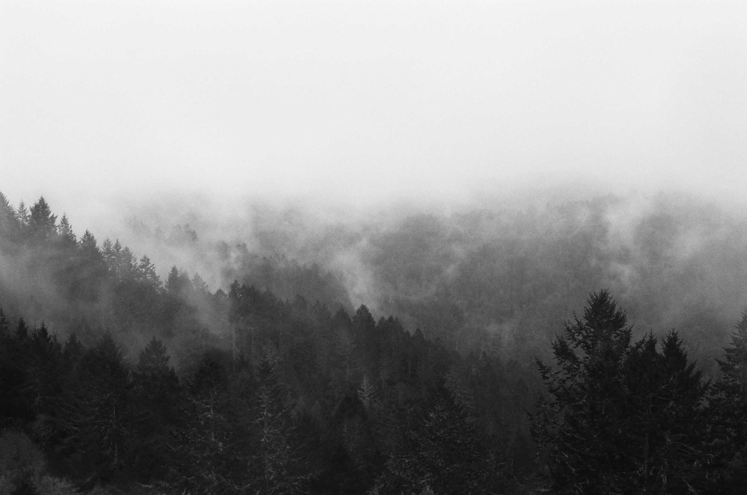 wraiths among mist