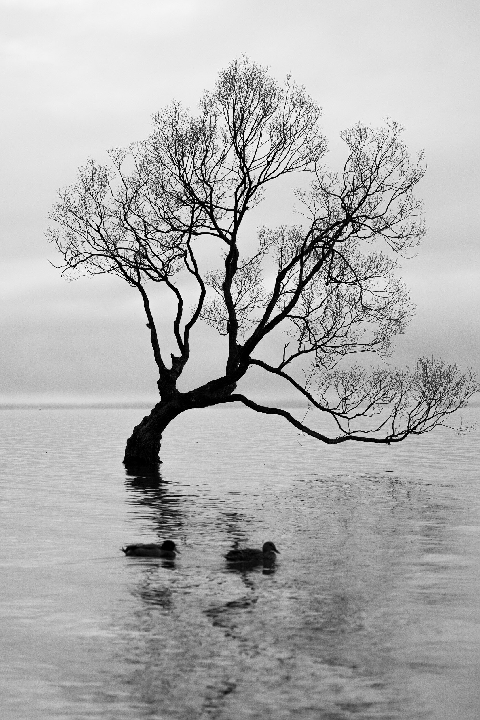 Adrift