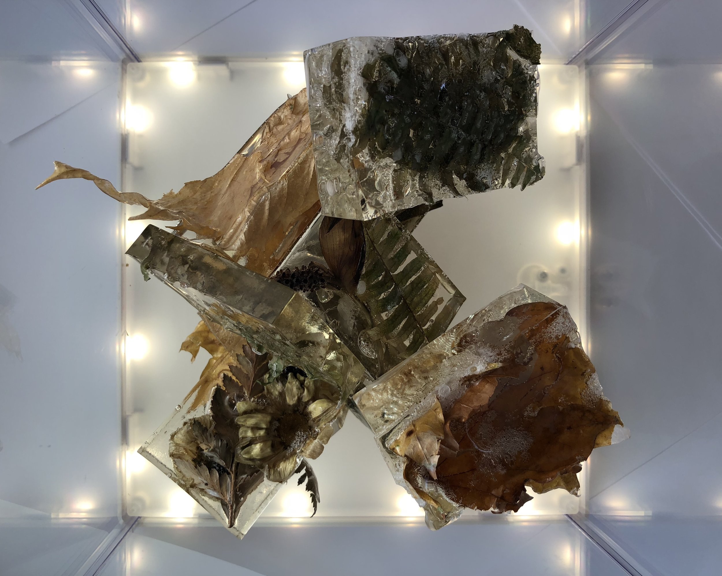 ConservationPiece2_ImageTrevaLegassie.jpg