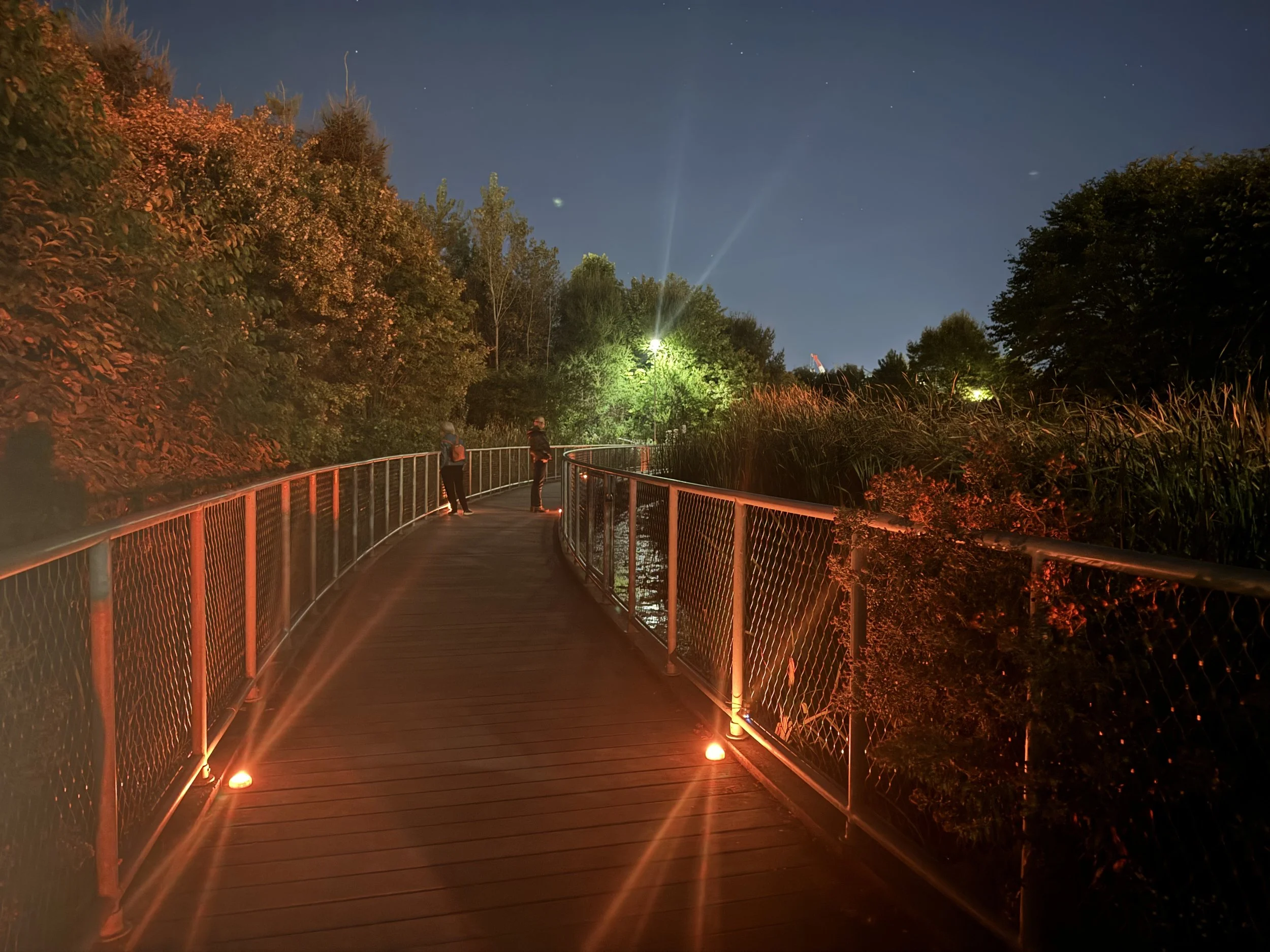  improvement becomes a wall, and the river meanders still , 2024. Immersive sound and video installation at Cork Town Common for Nuit Blanche 2024. Curated by Treva Legassie.  Listening to water sounds and stories offers a chance to reflect on the h