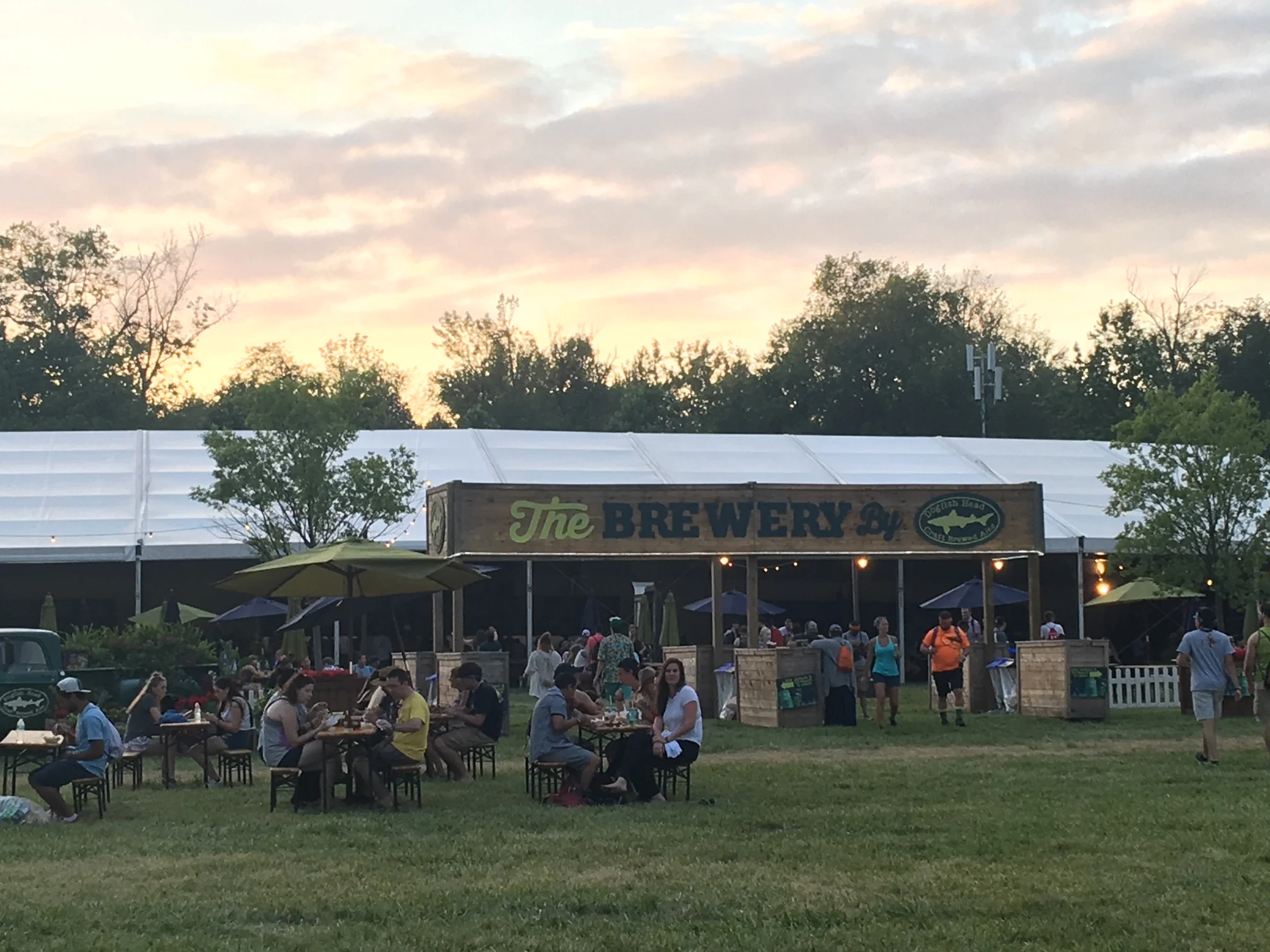 Beyond the Music at Firefly