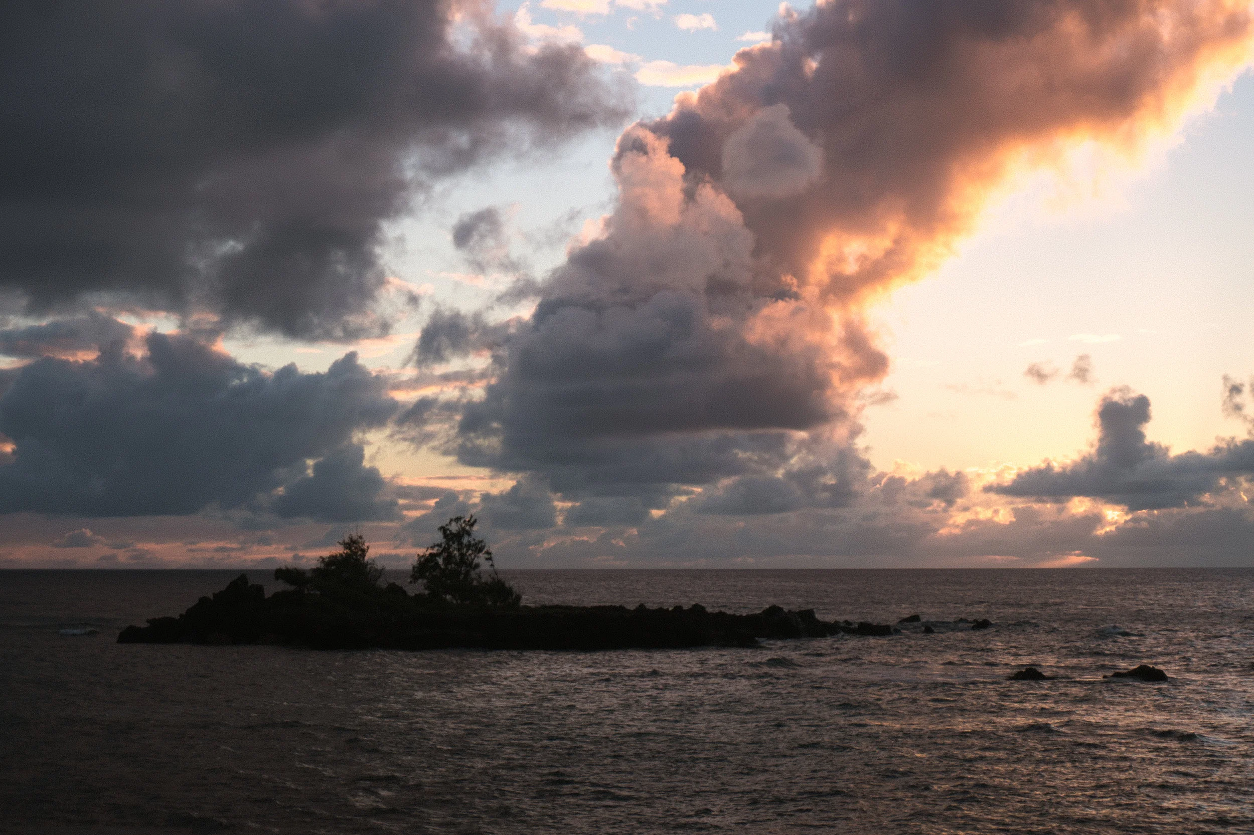DSC01589-3.jpg