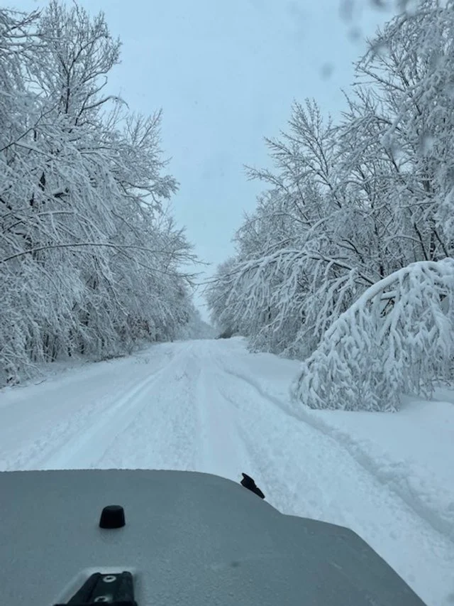 snowy road.jpg
