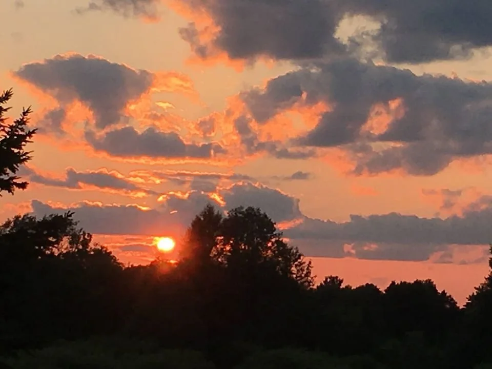 13735699_891669130945060_8211764781738779615_o - Copy.jpg