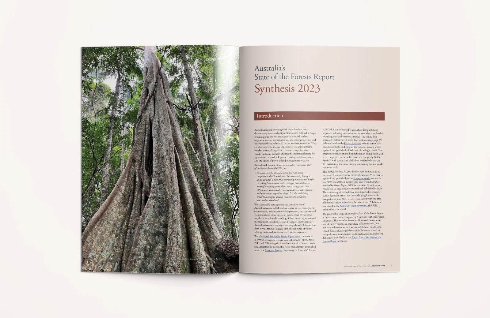 Australia's State of the Forests Report – Synthesis 2023
