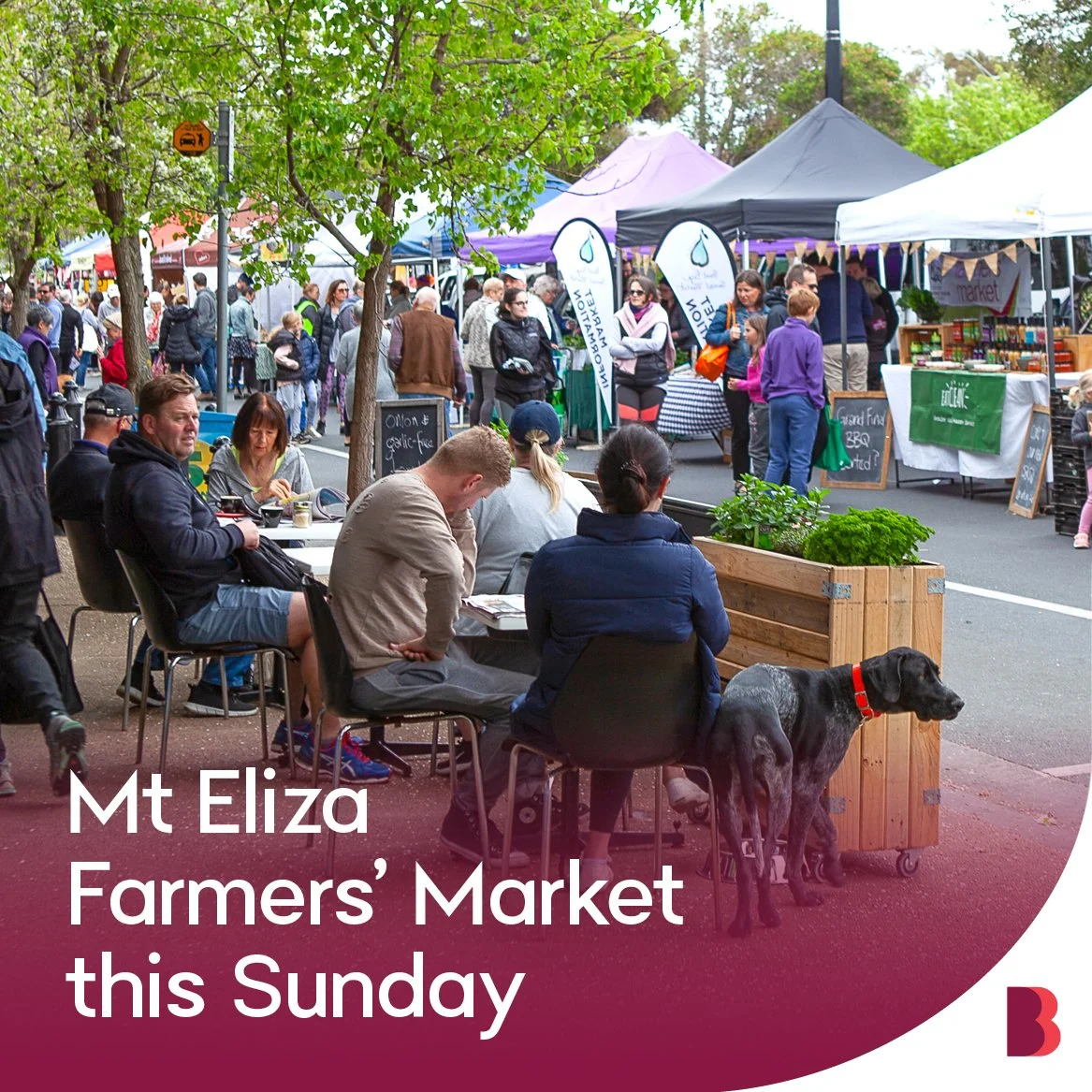 Mt Eliza Famers Market tile-2024.jpg