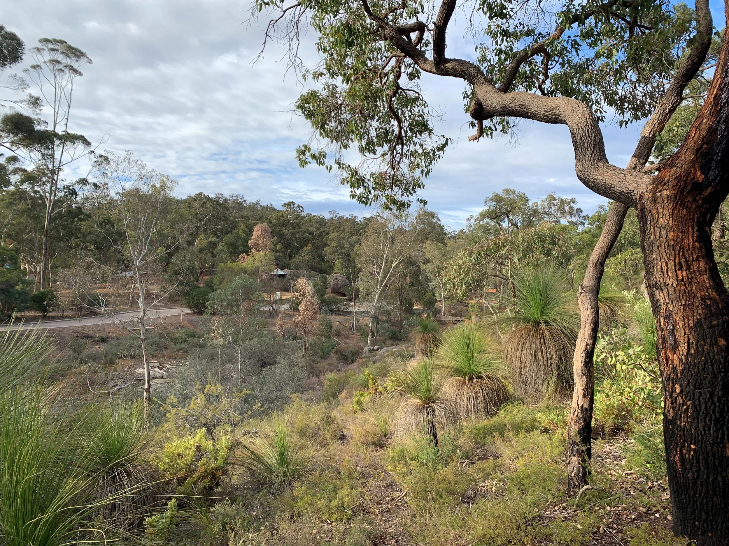 John Forrest_view_sml.jpg