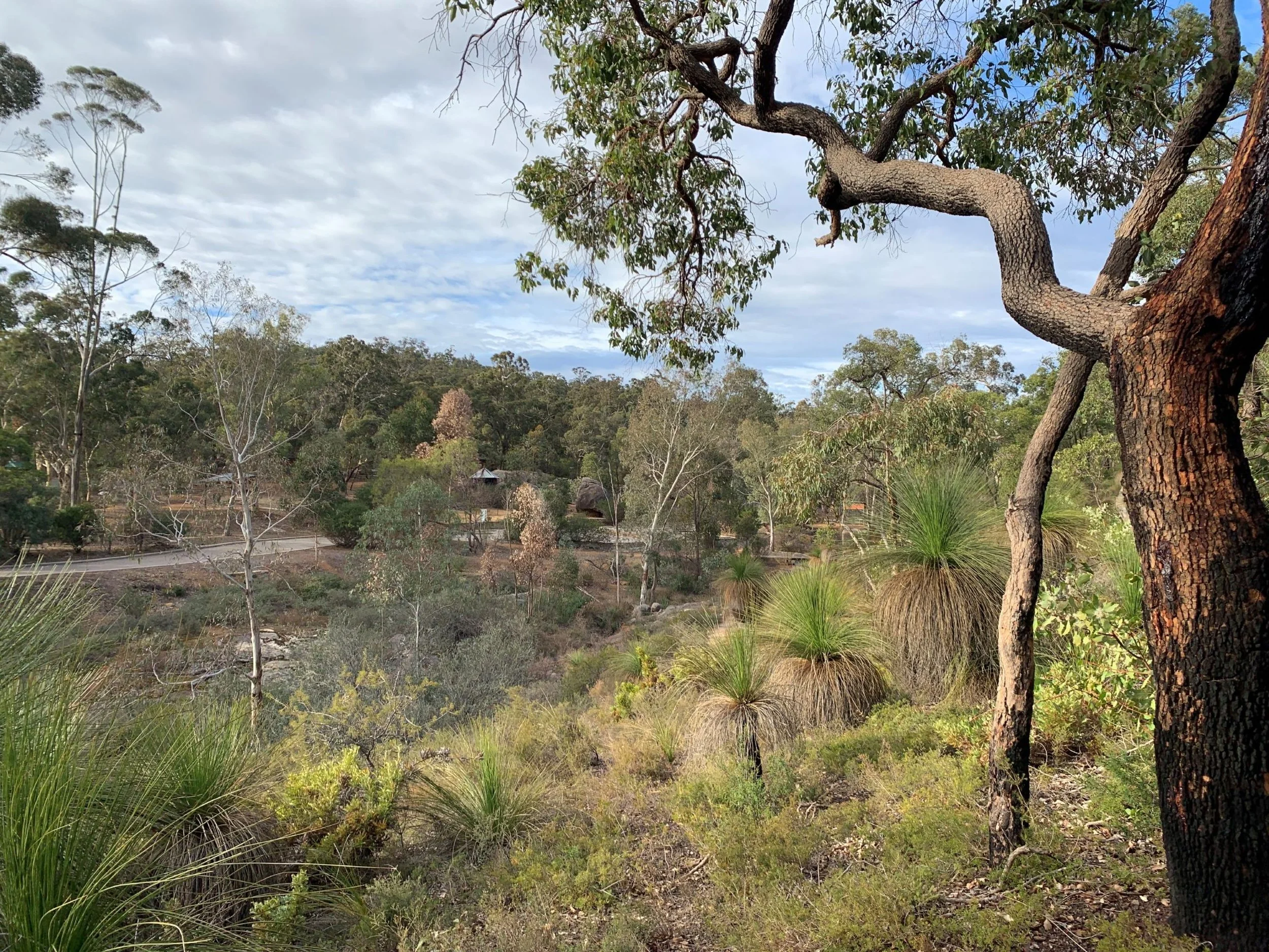 John Forrest_view_sml.jpg