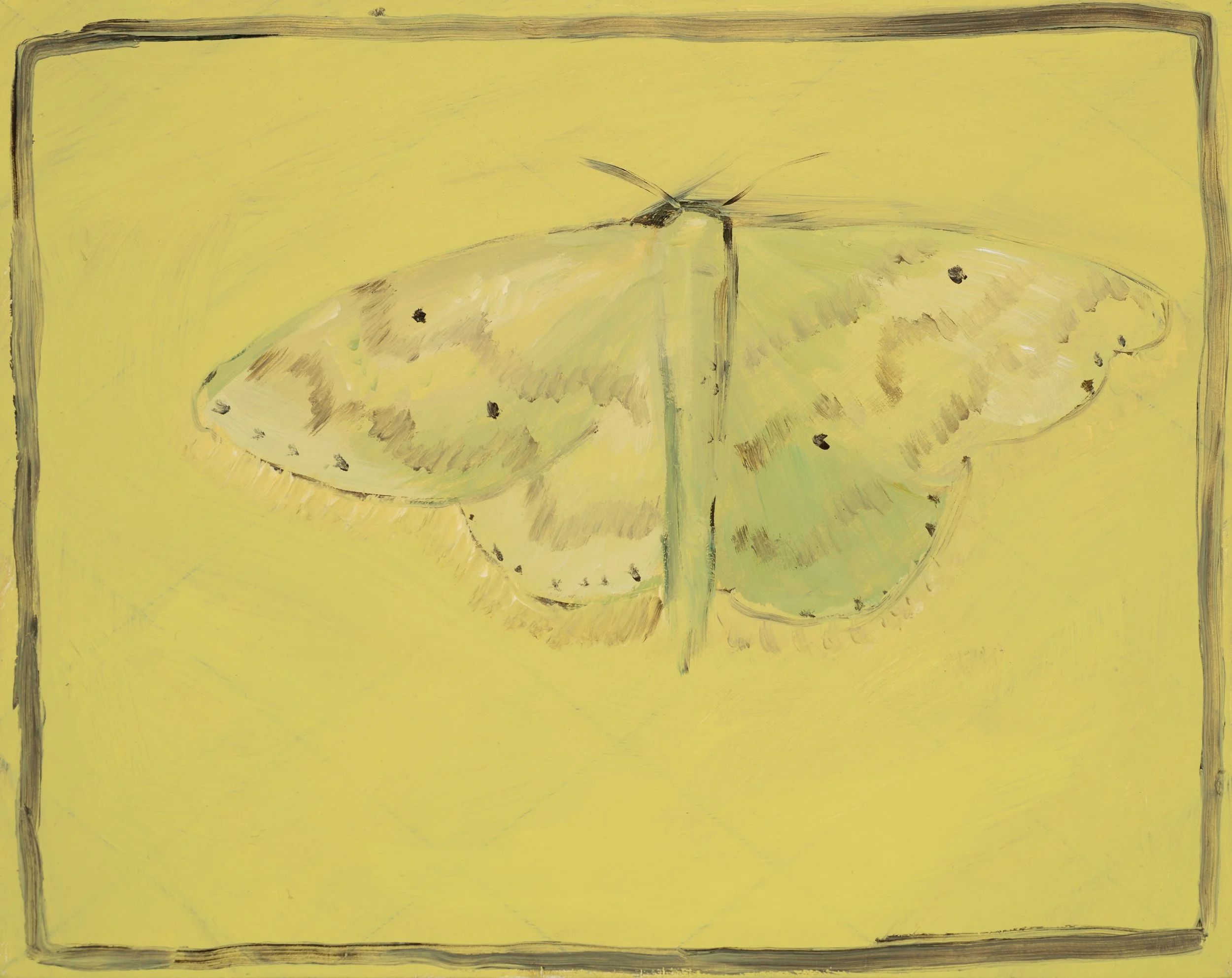 You are all I need, 25 x 20cm, Synthetic polymer paint on board, 2025