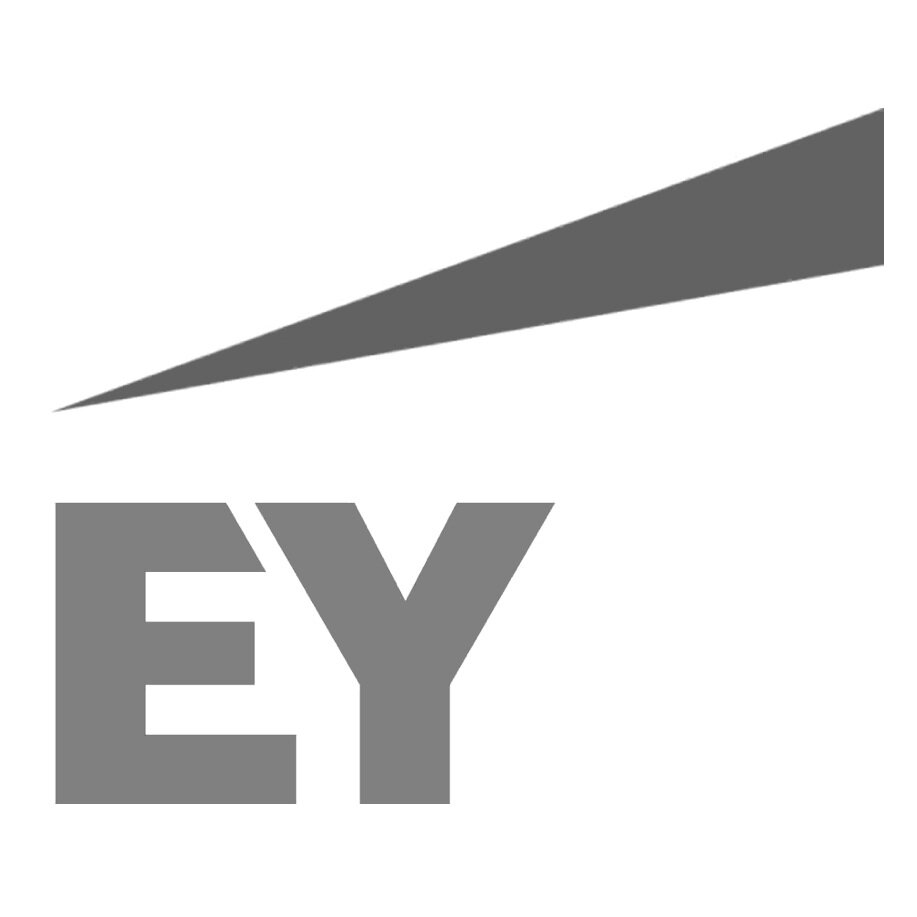 EY+logo+2013.jpg