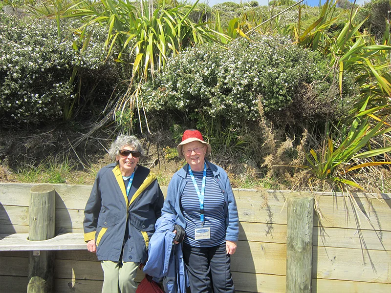 website image1.jpg
