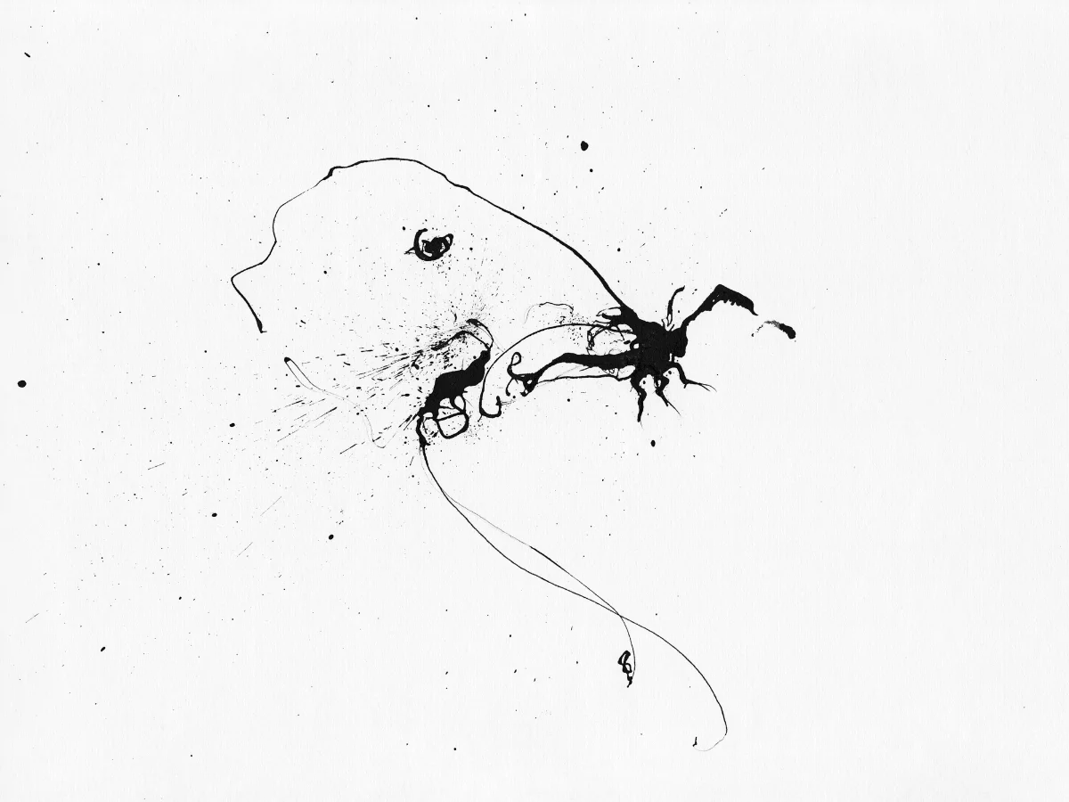 Moth #8, India Ink On Paper, 11" x 14"  $300