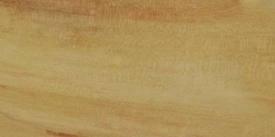 boxelder.gif