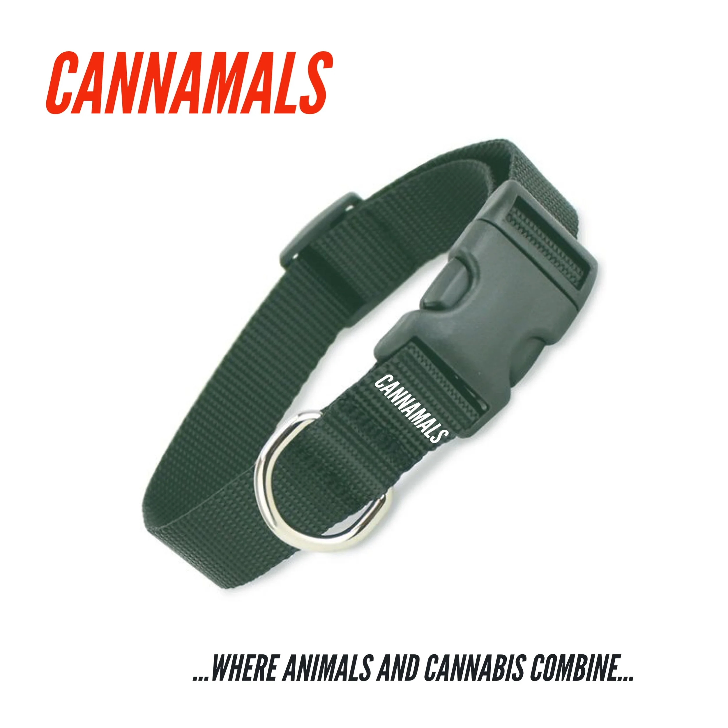 "CANNAMALS" DOG COLLAR 