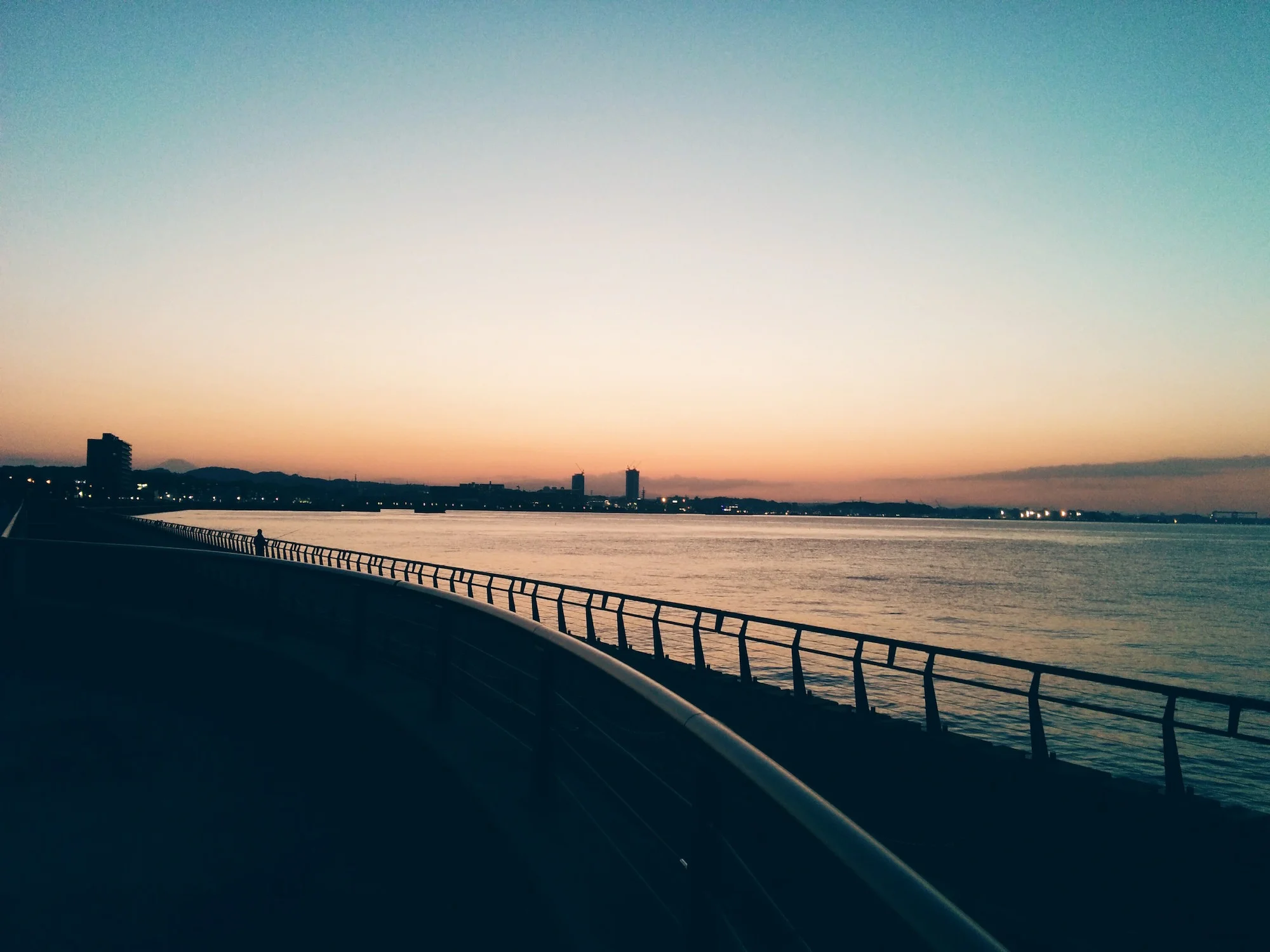 I probably have a thousand pictures of this view. We'll miss you, Yokosuka!