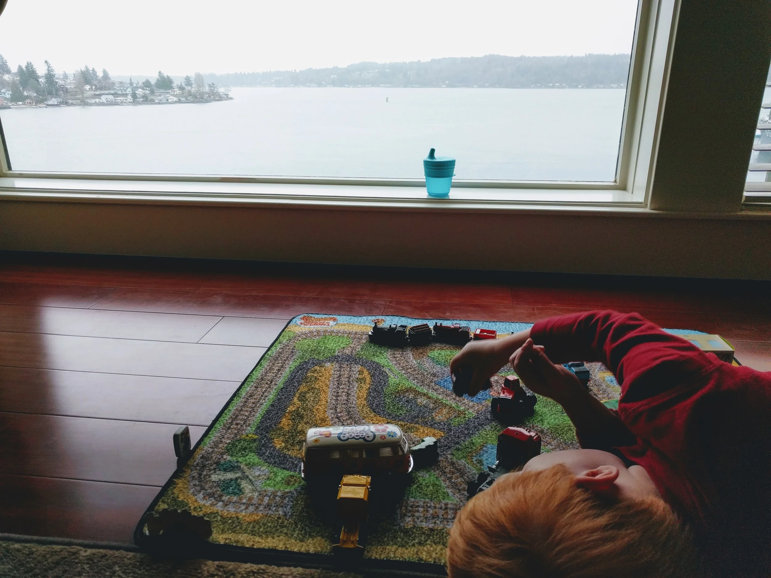 Bremerton natural cleaning.jpg