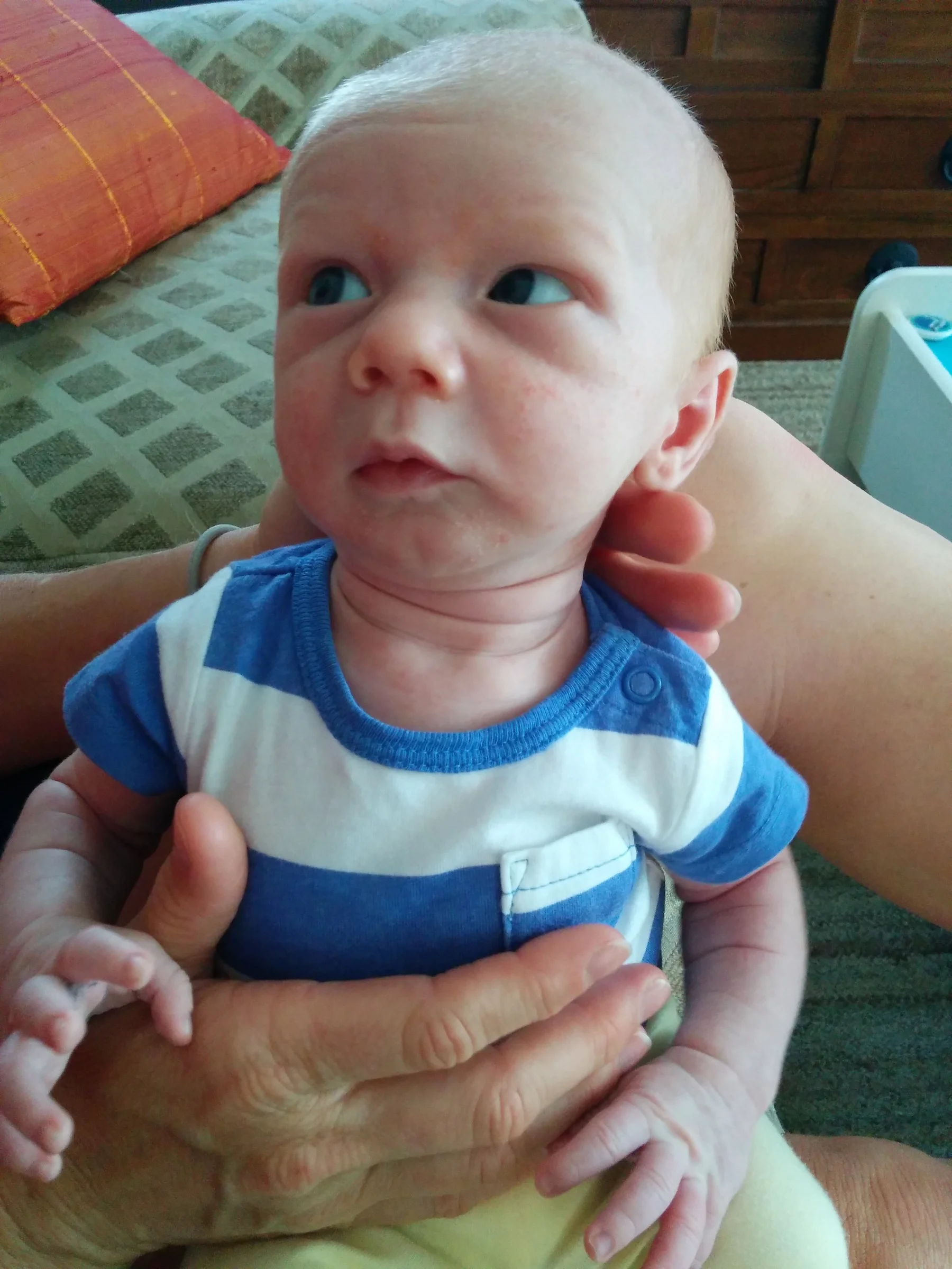 Four weeks old and chatting it up with our neighbor.