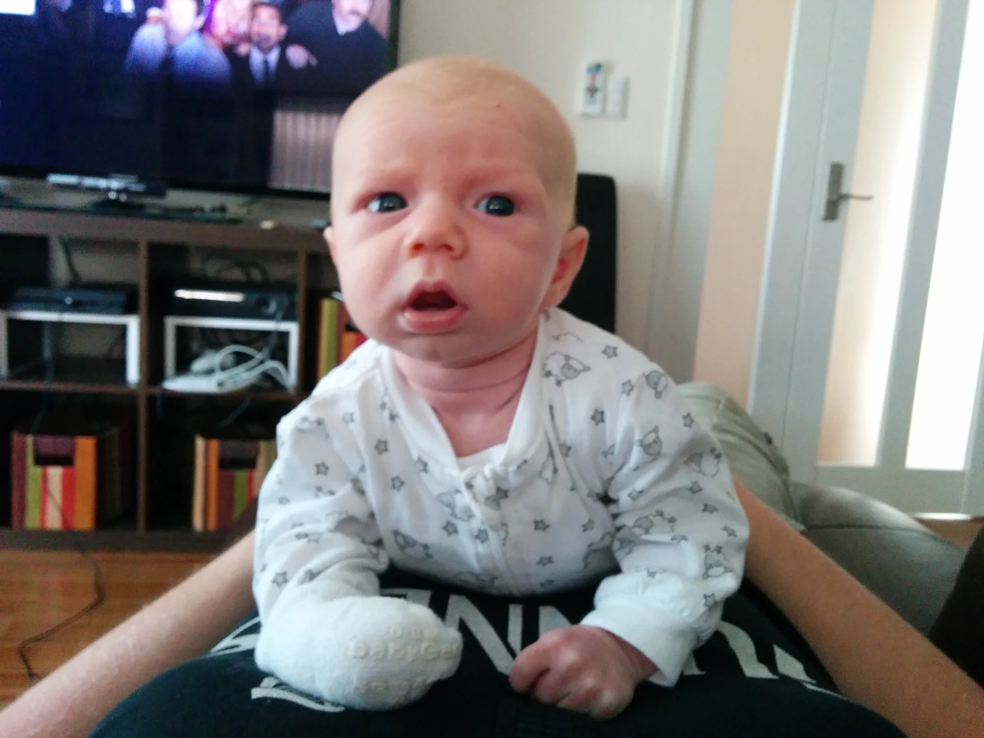 Six weeks old and mad 'cause we won't let him watch Parks and Rec...