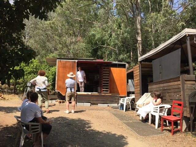 Cicadas ate my bellbirds!