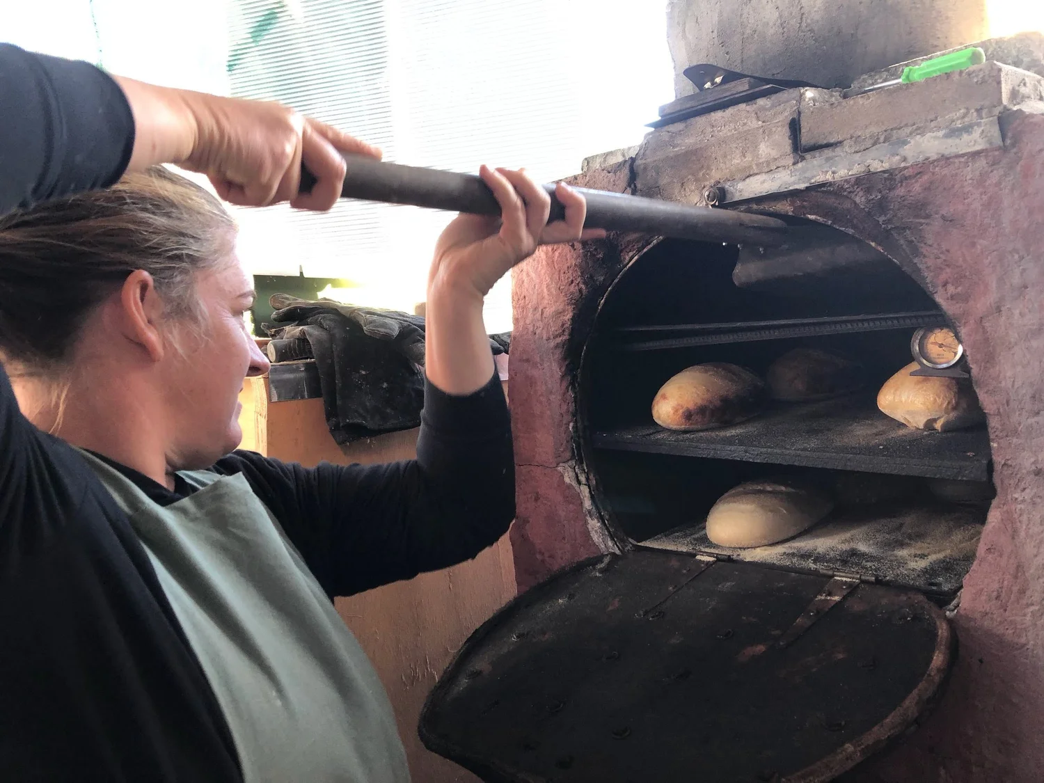 Sourdough Workshops — School of Sourdough