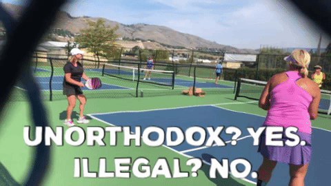 lab serve.gif
