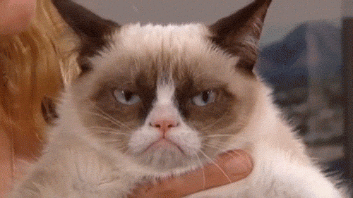 giphy 10.48.39 PM.gif