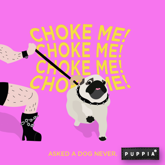 pug-puppia-ig-feed-postArtboard-1.png