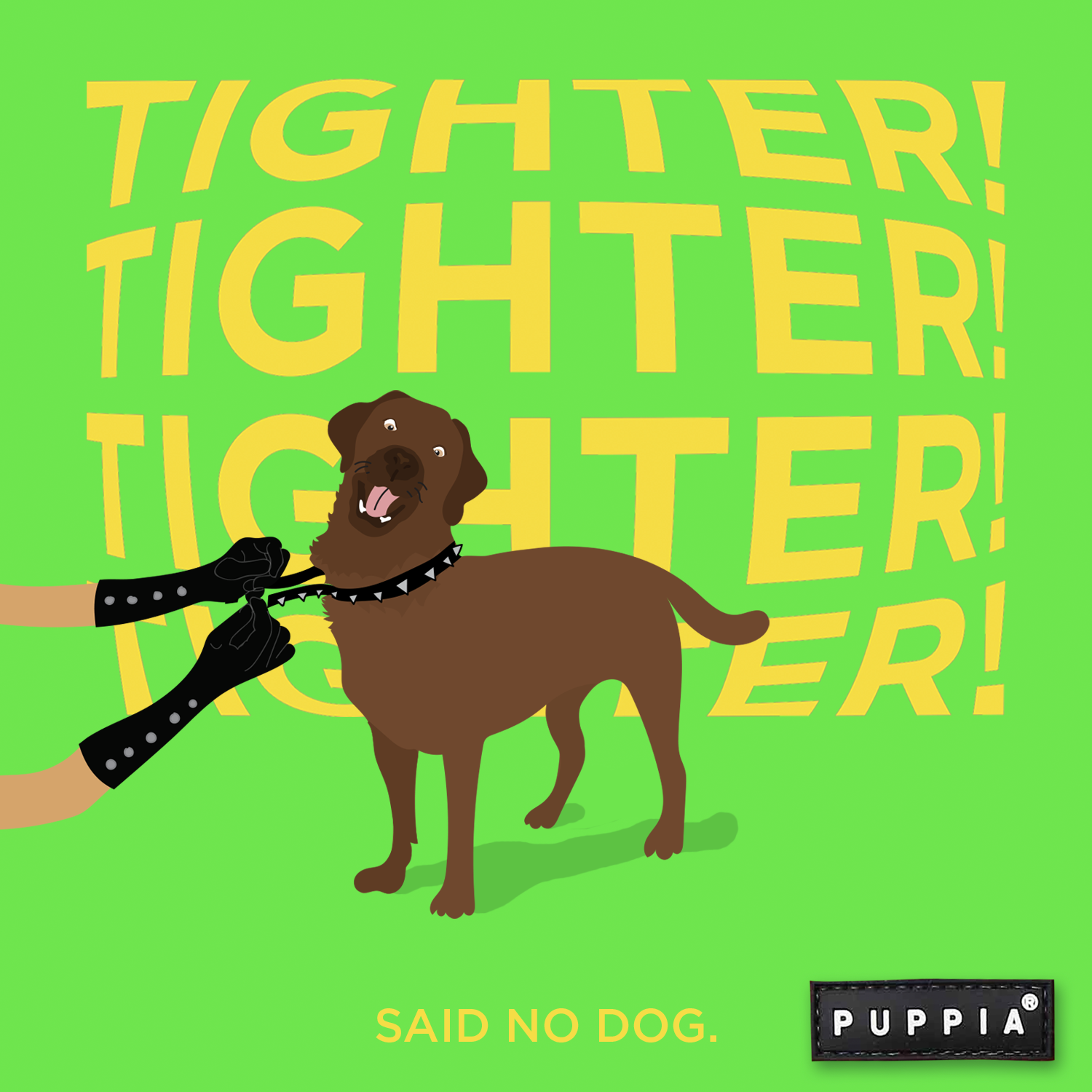 labrador-dog-puppia-ig-feedArtboard-1.png