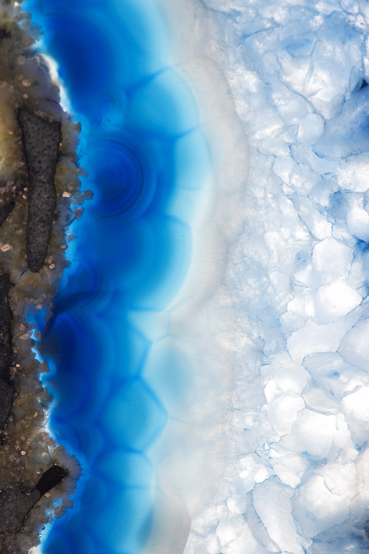 Arctic Shoreline