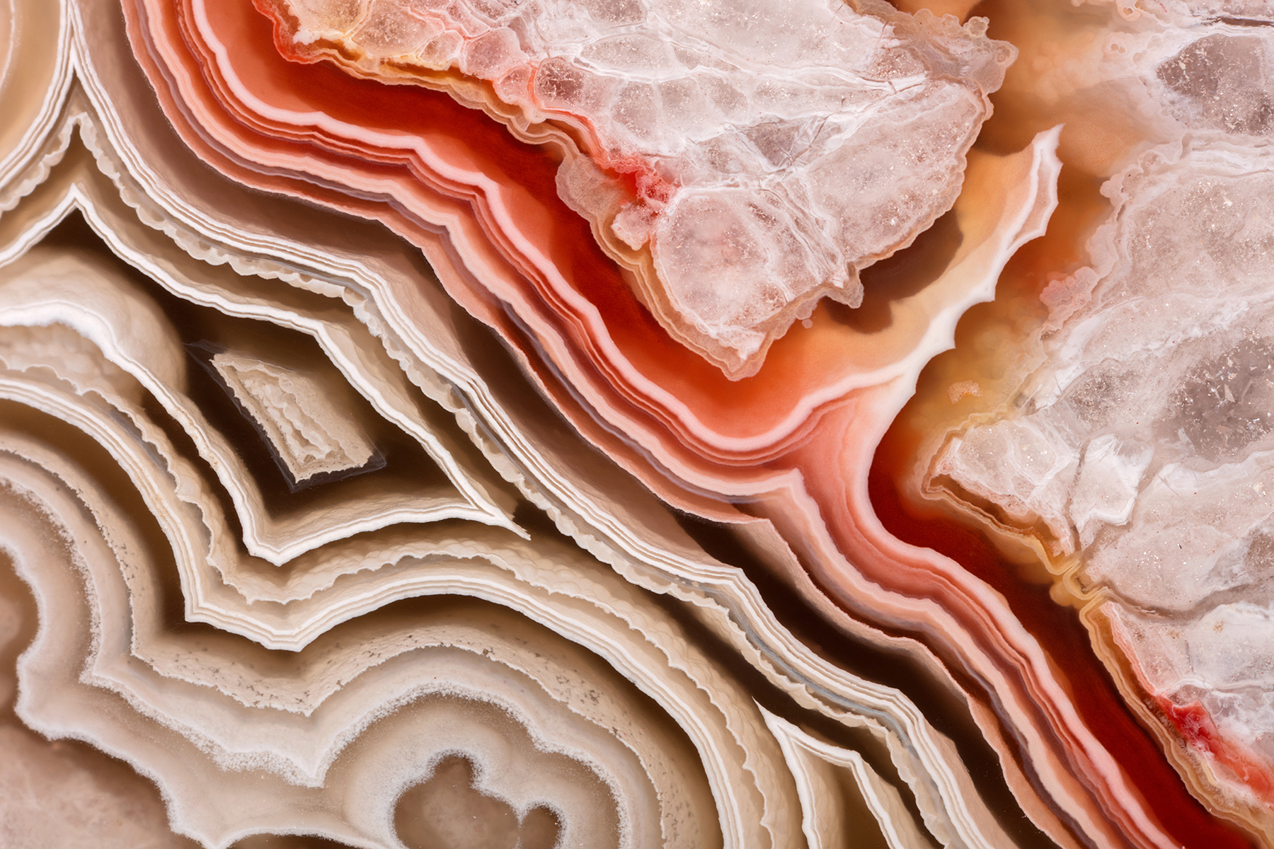 Lace Agate-4x6.jpg