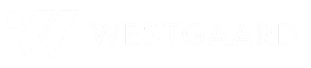 image 2 (1).png