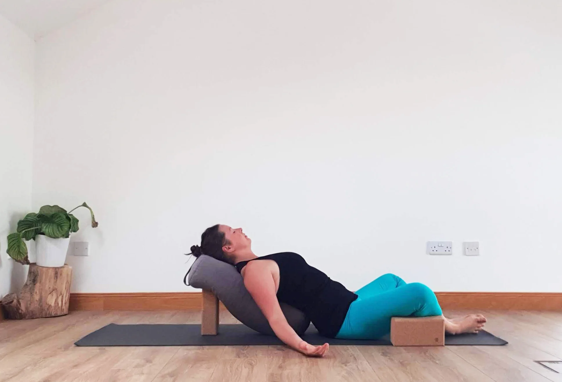 Supported Supta Baddha Konasana.jpg
