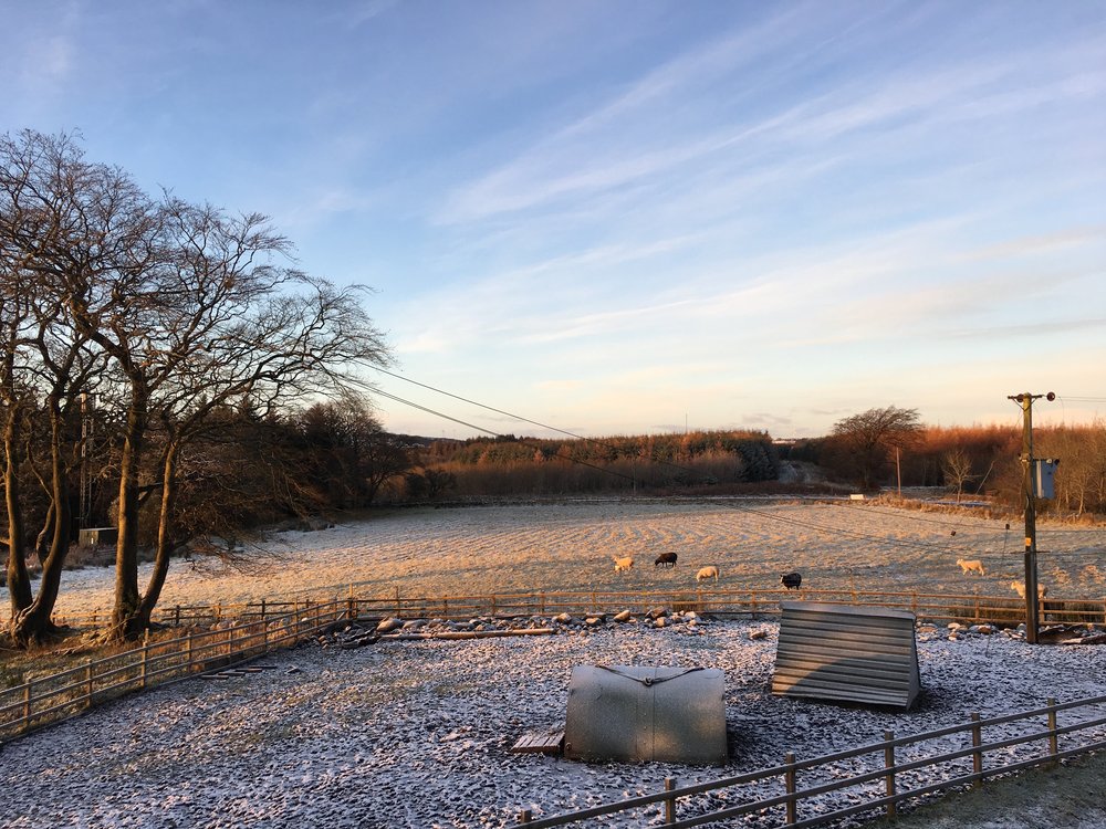 The Barn Snow.jpeg