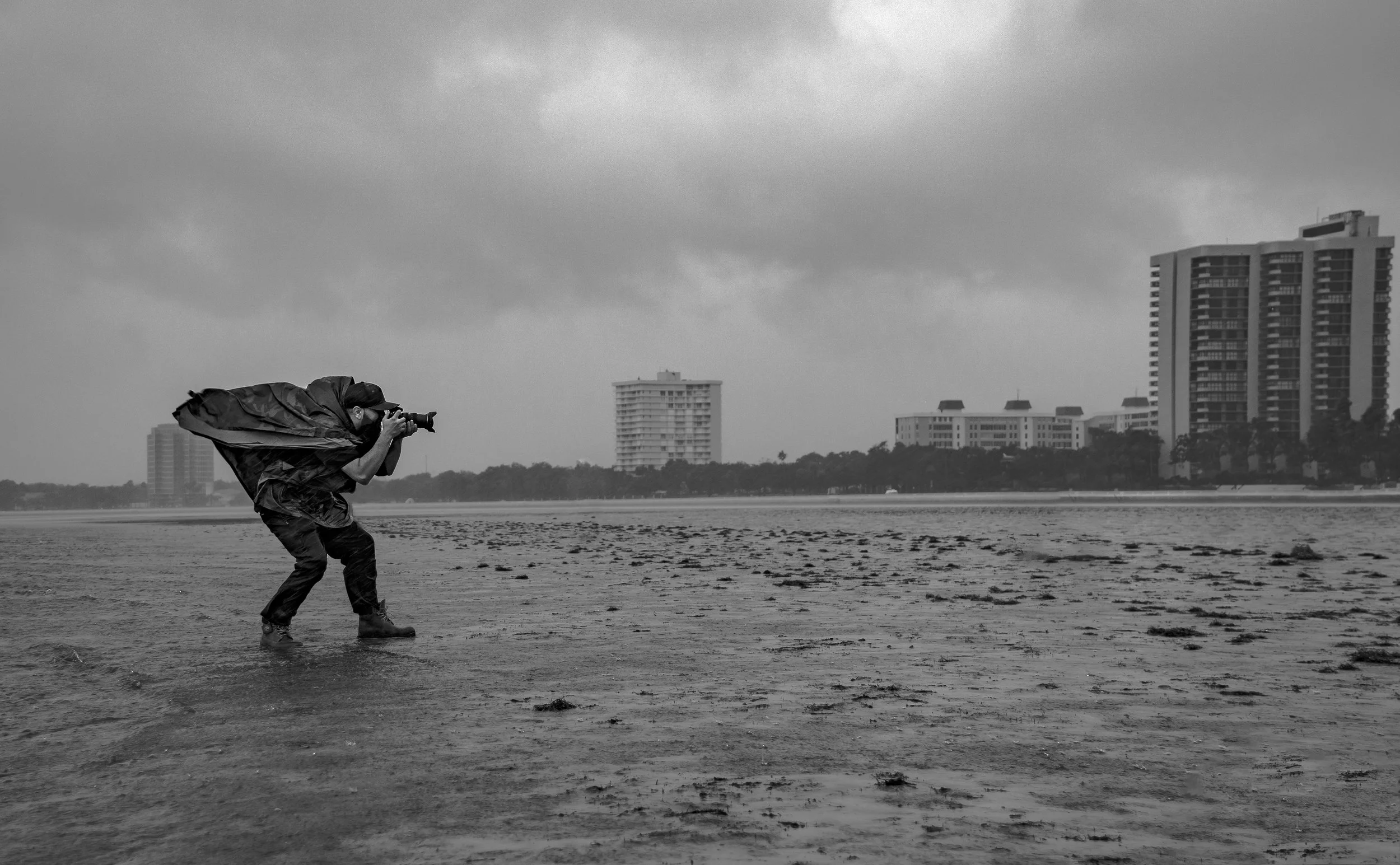 D72_7542.jpg